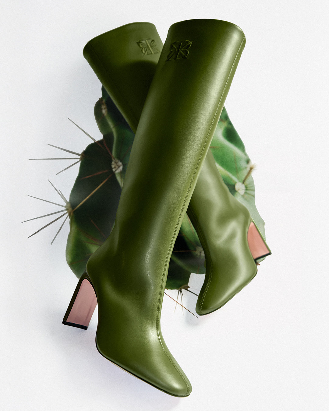 Cuir de Cactus